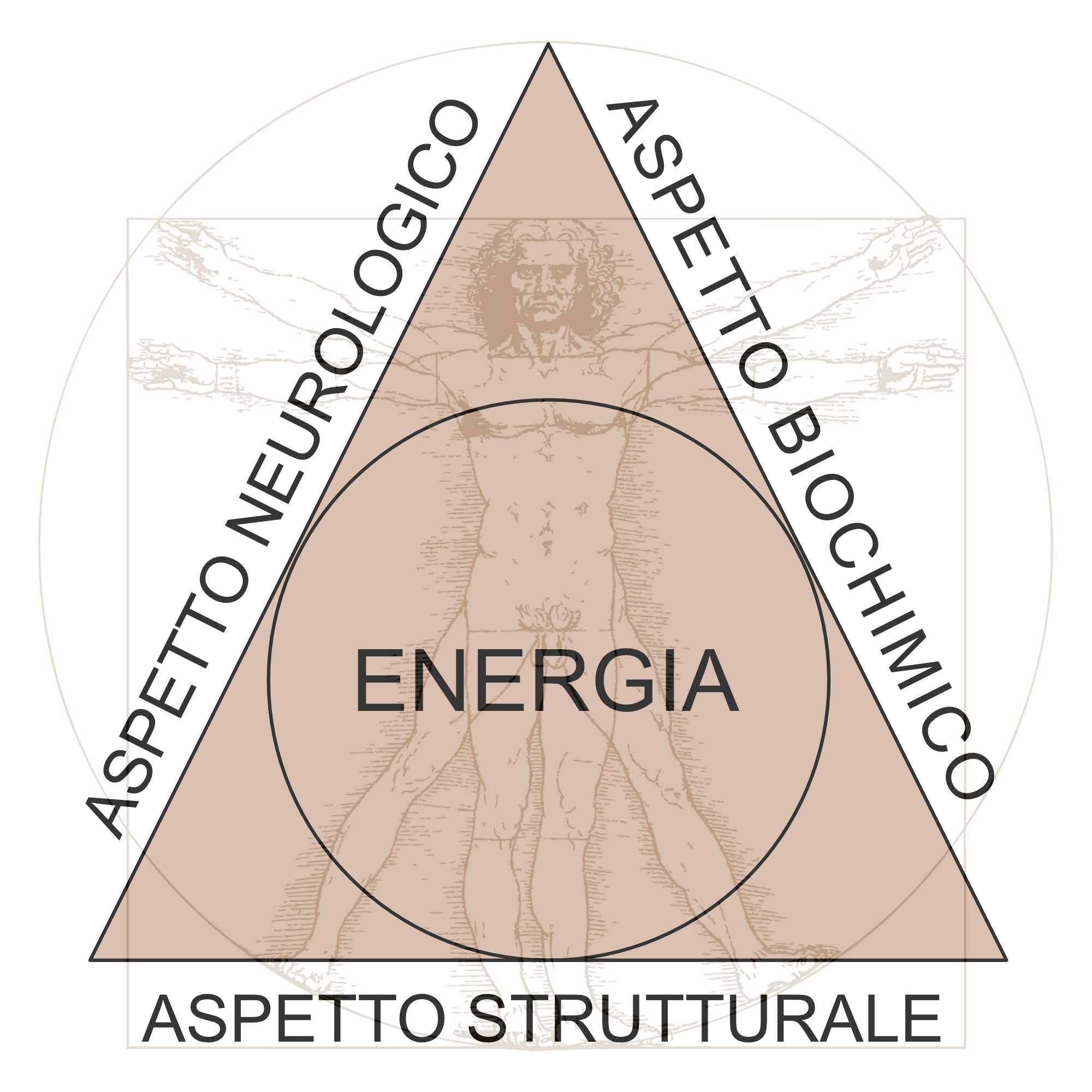 Kinesiologia triangolo