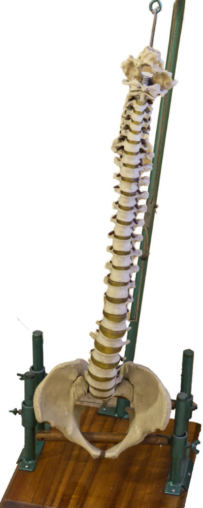 colonna